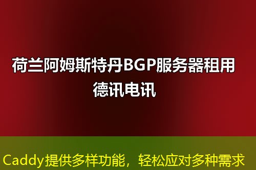 Caddy提供多样功能,轻松应对多种需求 Caddy提供多样功能,轻松应对多种需求