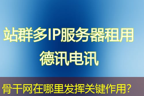 骨干网在哪里发挥关键作用？