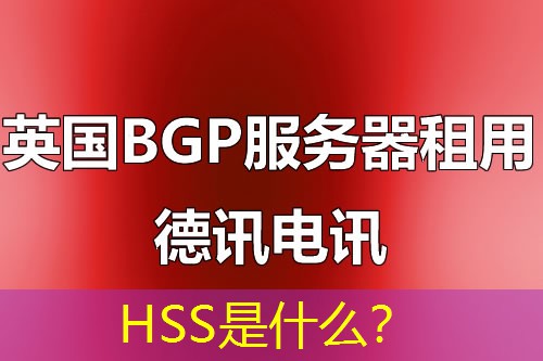 HSS是什么? HSS是什么?