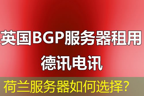 荷兰服务器如何选择？