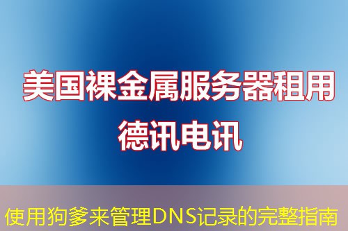 使用狗爹来管理DNS记录的完整指南