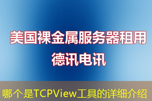 哪个是TCPView工具的详细介绍 哪个是TCPView工具的详细介绍