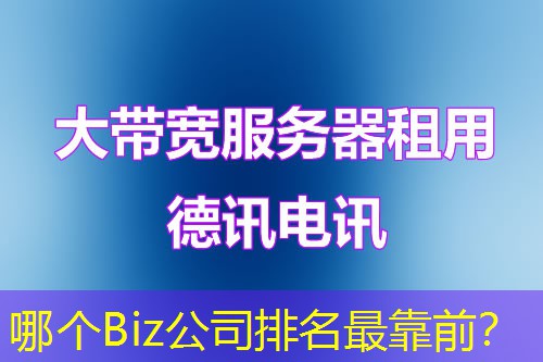 哪个Biz公司排名最靠前? 哪个Biz公司排名最靠前?